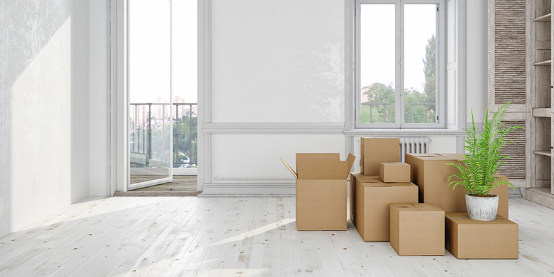 hire a cleaning company to come in for a move-out clean