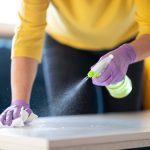 Professional Cleaning Services