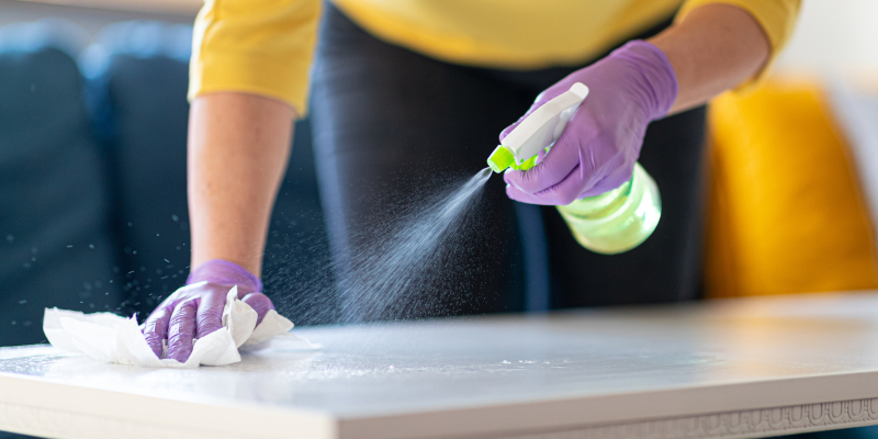 Professional Cleaning Services in Holly Springs, North Carolina 