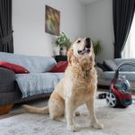 Whole-House Cleaning