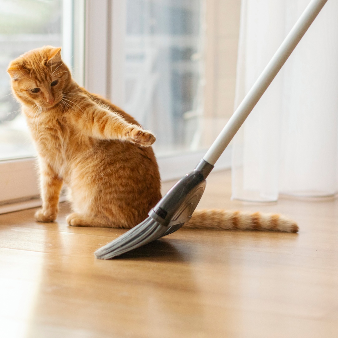 maintenance cleaning